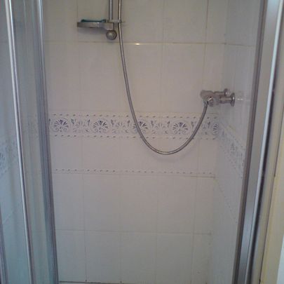 Shower Before Restoration